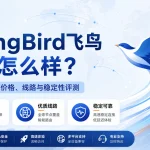 FlyingBird机场怎么样？2026年飞鸟机场套餐价格、线路与稳定性评测