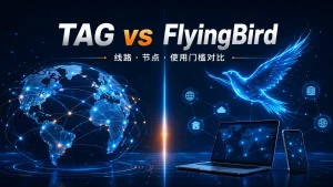 TAG机场与FlyingBird飞鸟机场线路、节点和使用门槛对比